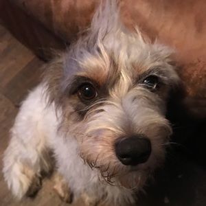 Meet your Posher, Eva